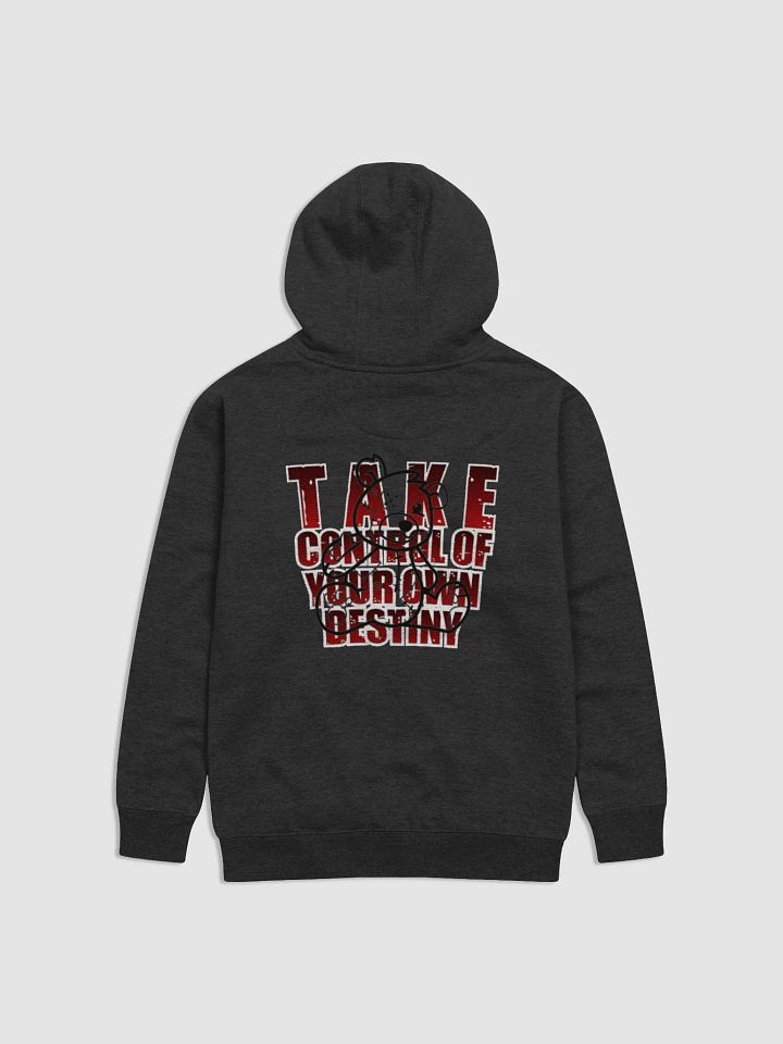 Take control limited Hoodie product image (3)