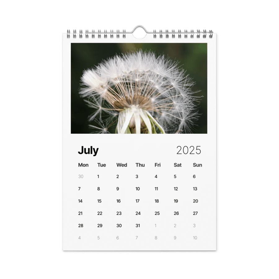 Ephemeral Dandelions 2025 Wall Calendar product image (8)