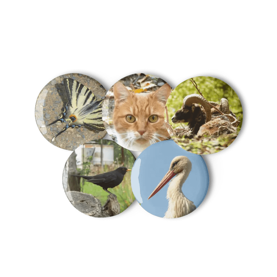 Set of Pin Buttons - Various Animals product image (11)