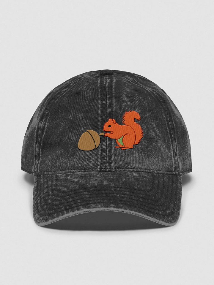 Acorn Encounter Vintage Dad Hat product image (1)
