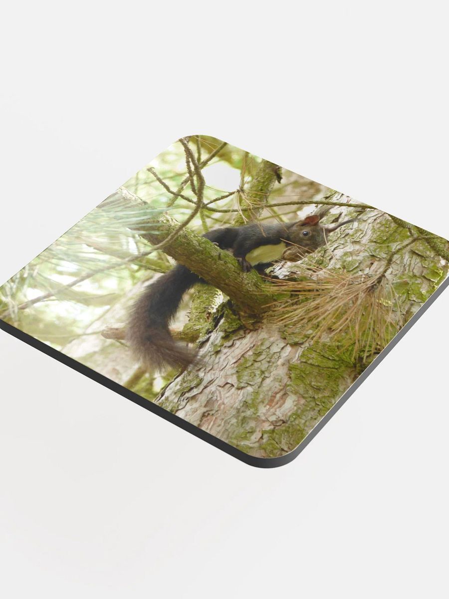 Glossed Cork Coaster - The Eurasian red squirrel product image (4)