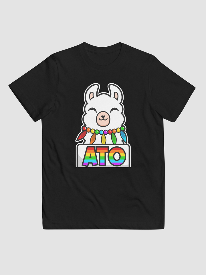 AtoLlama Youth T-Shirt product image (1)