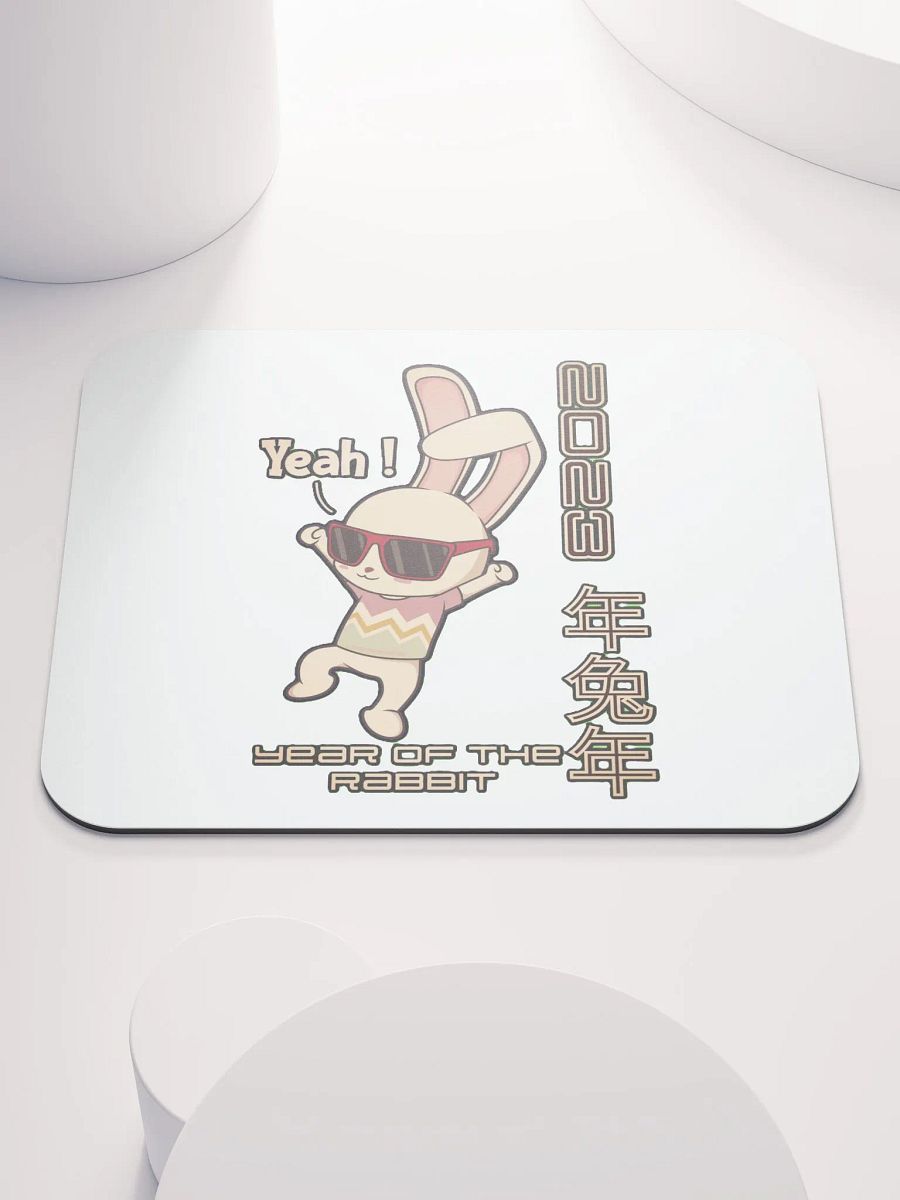 2023 YEAR OF THE RABBIT product image (1)
