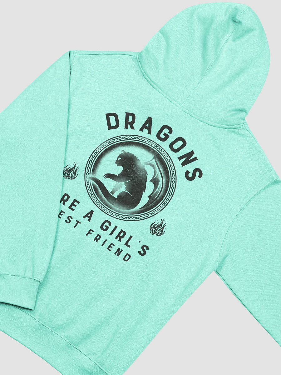 Dragons Are A Girl's Best Friend Dragon Cat Girl Woman Friendship Hoodie 2 product image (4)