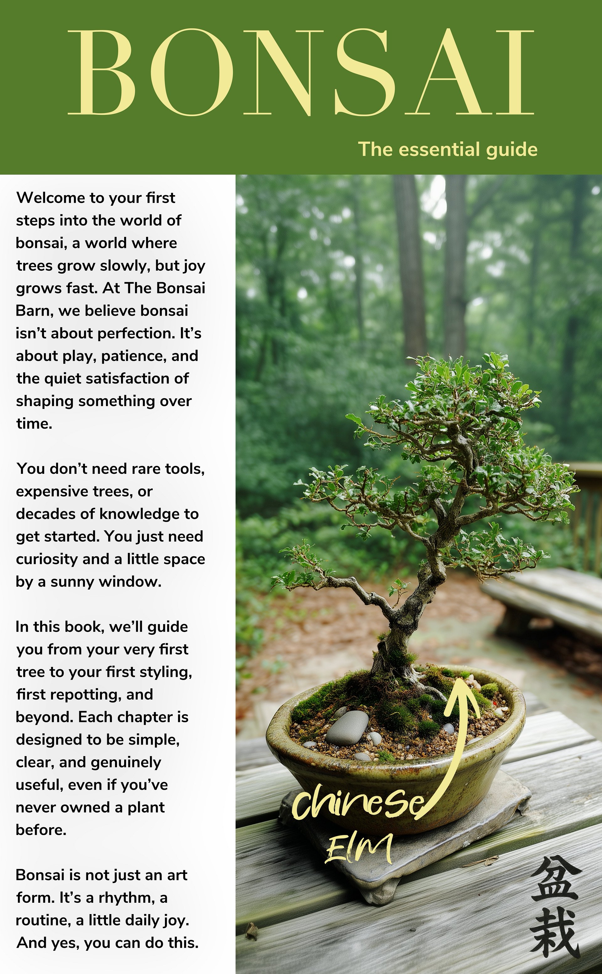 Essential Bonsai Guide : Bonsai for Beginners product image (2)