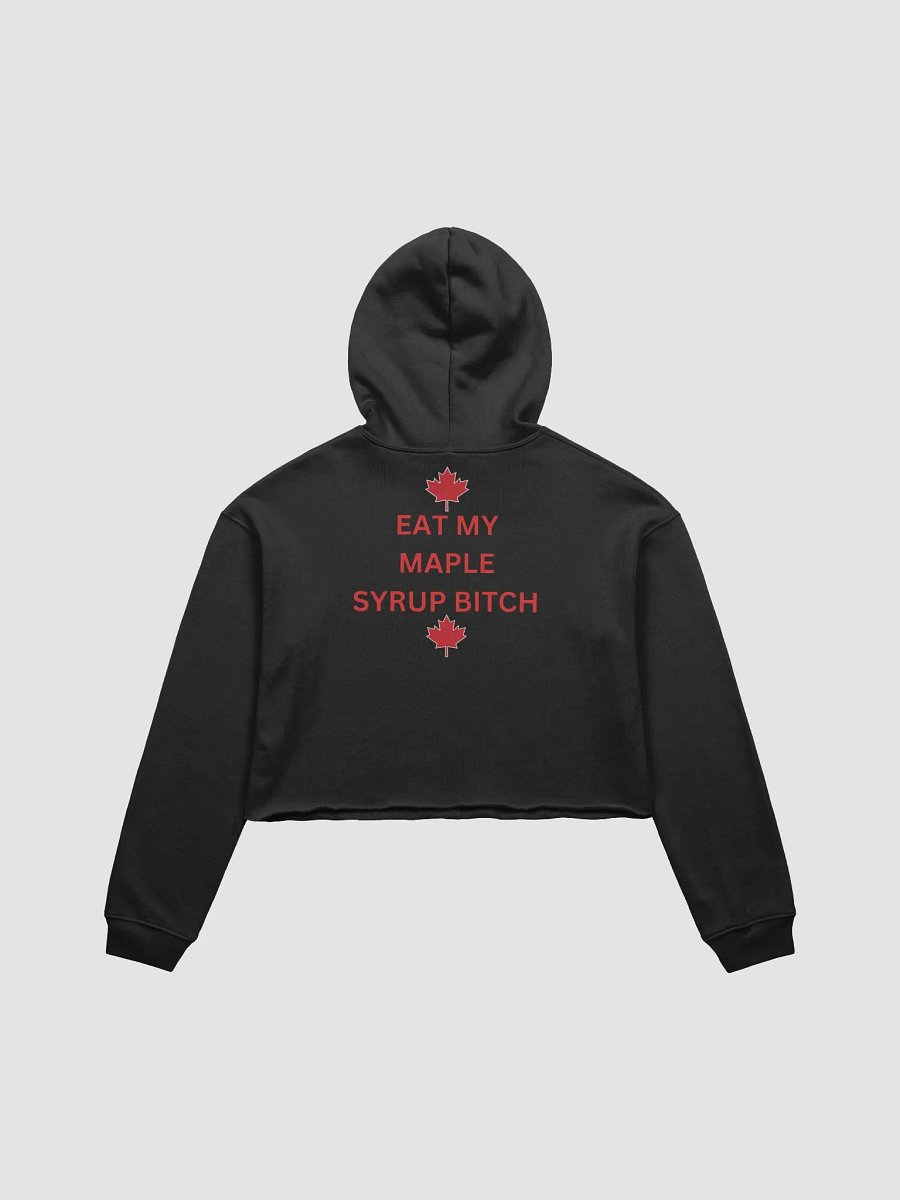maple syrup product image (2)