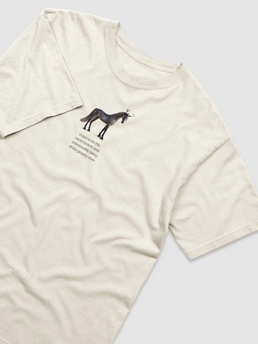 'I have to be the most esoteric being...' T Shirt (design on front) product image (23)