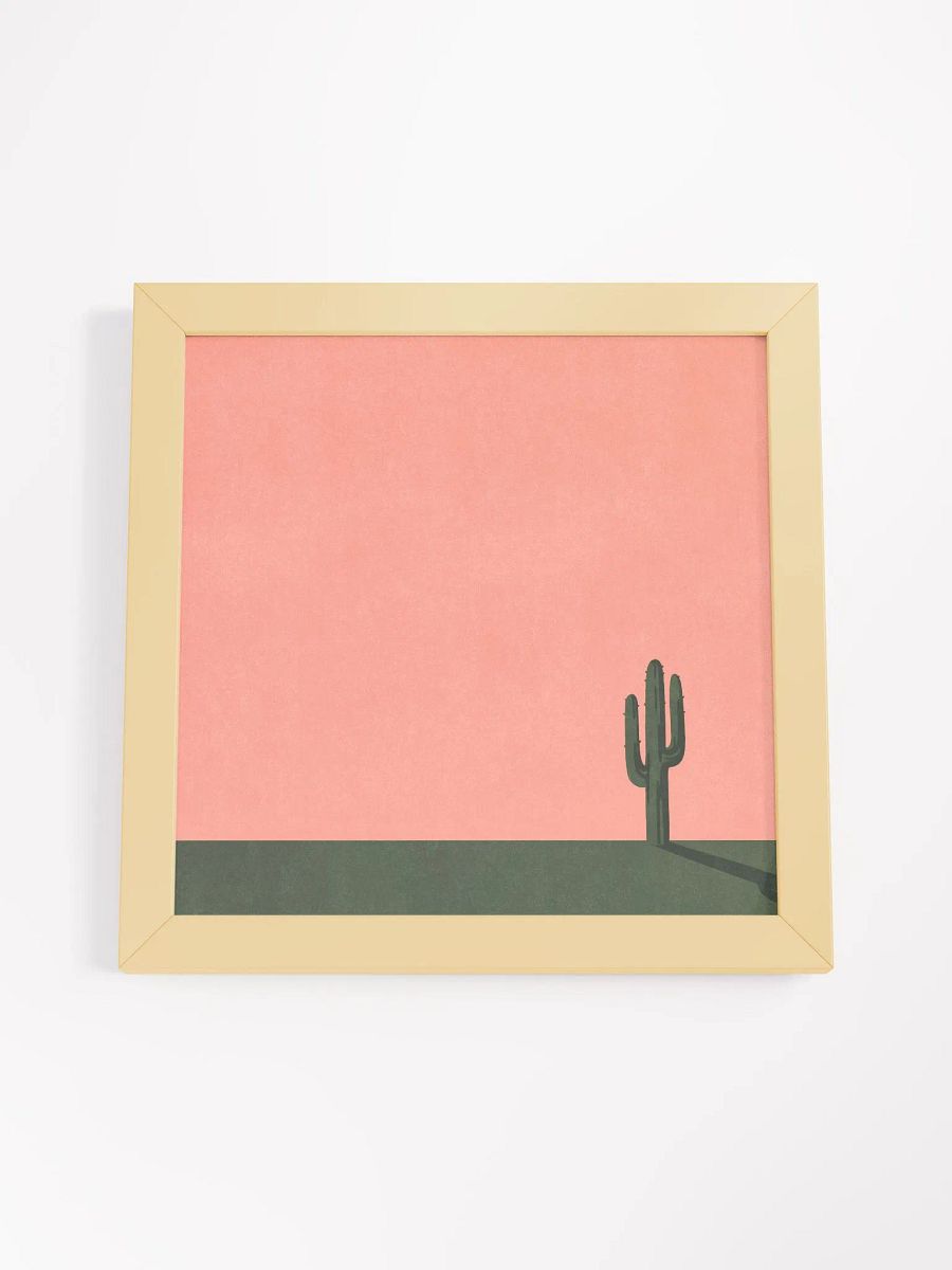 Cactus product image (4)
