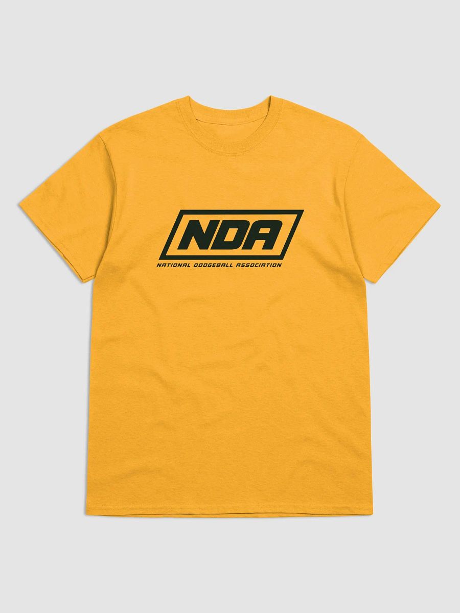 National Dodgeball Association T-Shirt (Dark) product image (2)