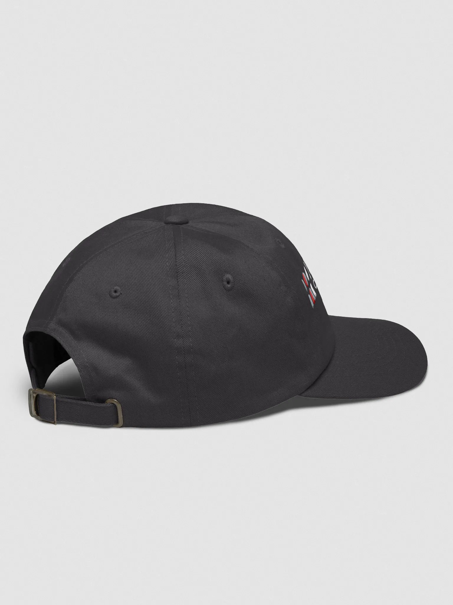 Indivisible CI Grey Hat product image (4)