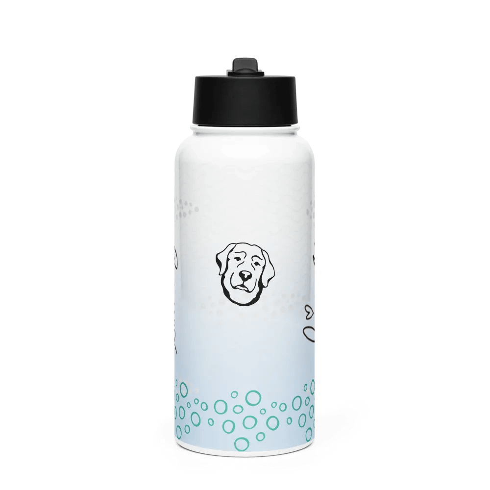Lingling Kwong Stainless Steel Water Bottle With a Straw Lid product image (1)
