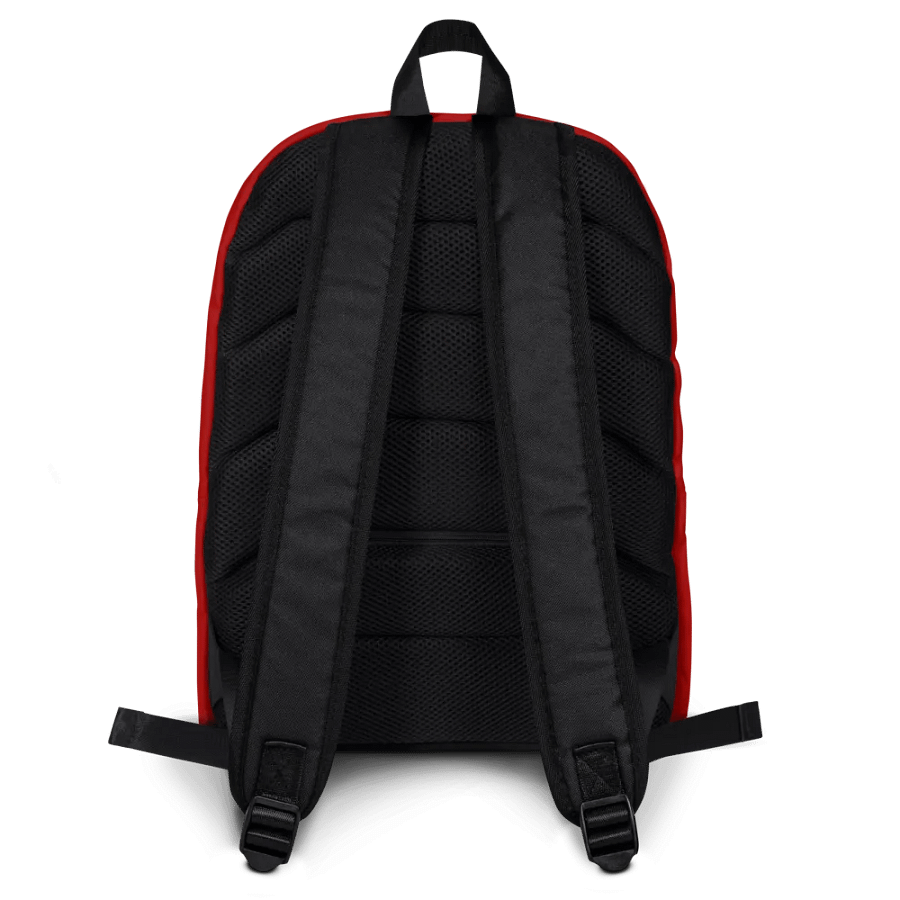 Cubana Super Constellation - Backpack product image (4)