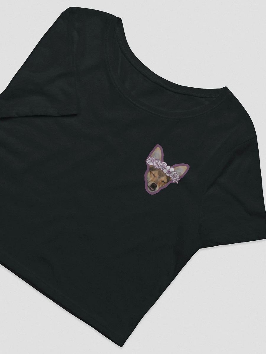 Nova Flower Crown Crop Top! product image (2)