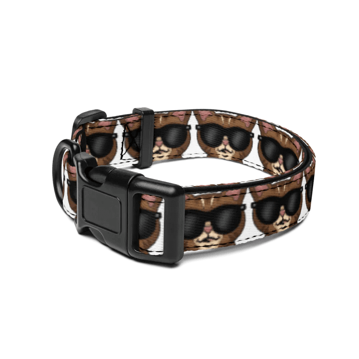 Cool Reggie Pet Collar product image (2)