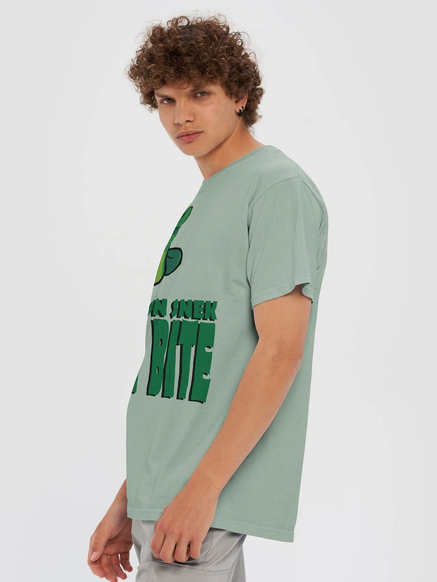 No Step on Snek Garment-Dyed Heavyweight T-Shirt product image (4)