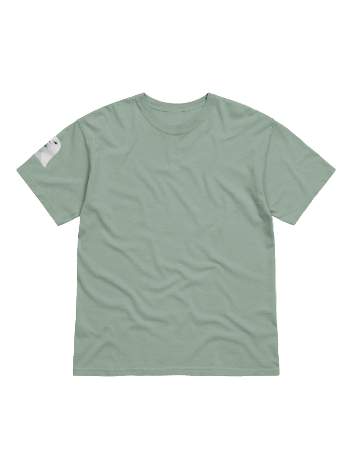 Solidarity with the seagulls product image (2)
