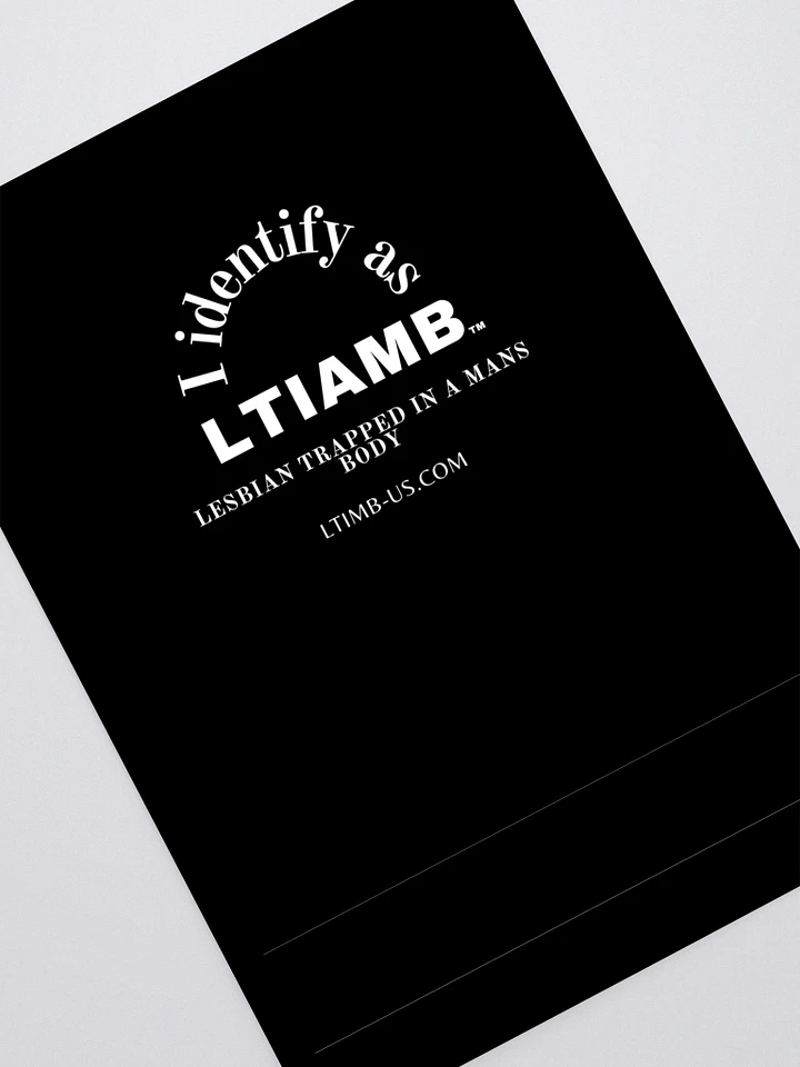 LTIAMB sticker sheet product image (2)