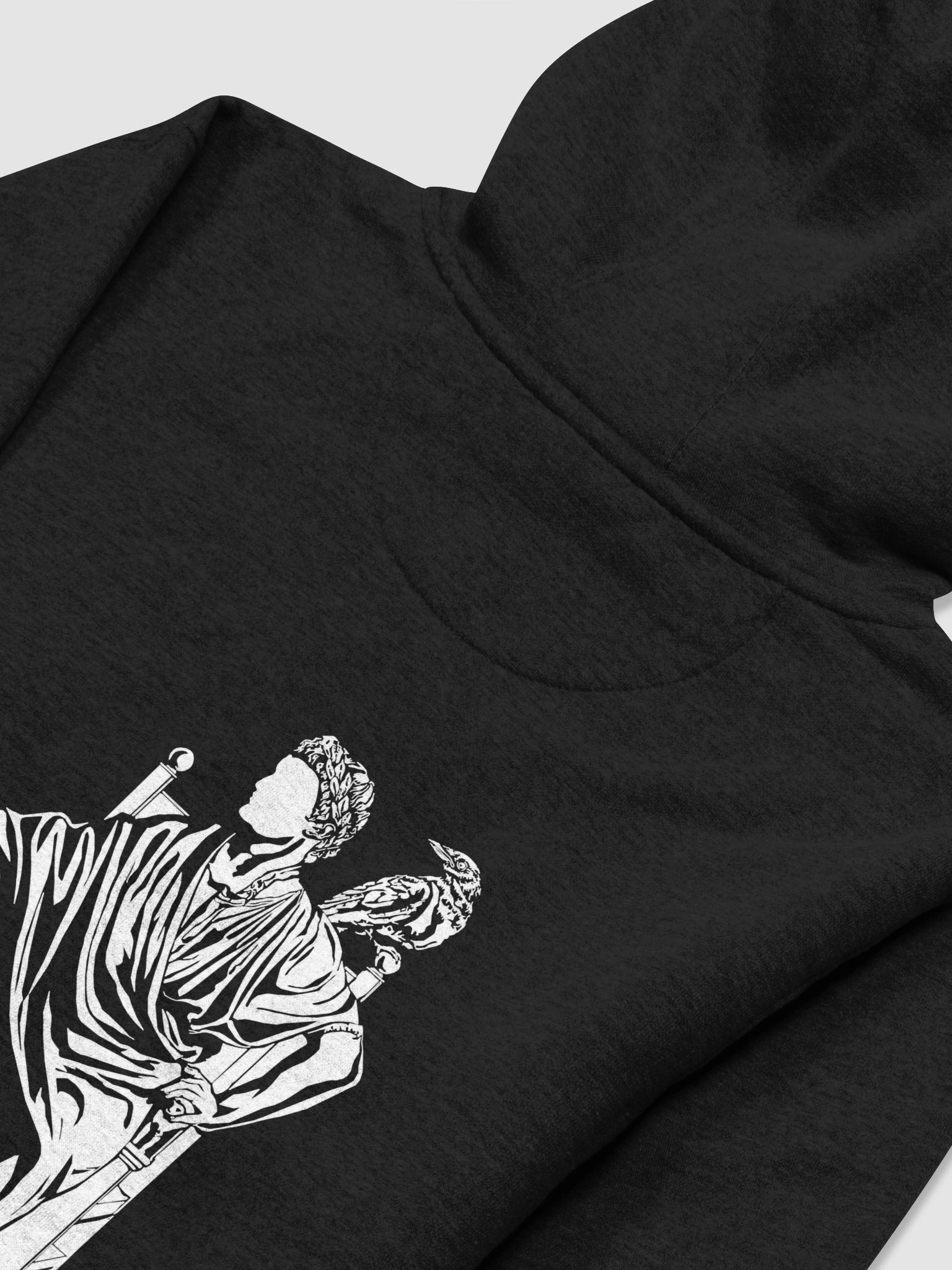 House Anicetus | Hoodie product image (49)