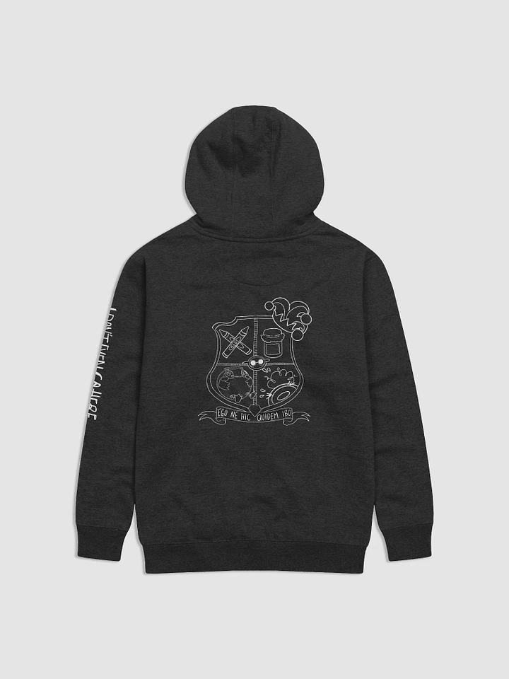 School of Chaos Hoodie product image (16)