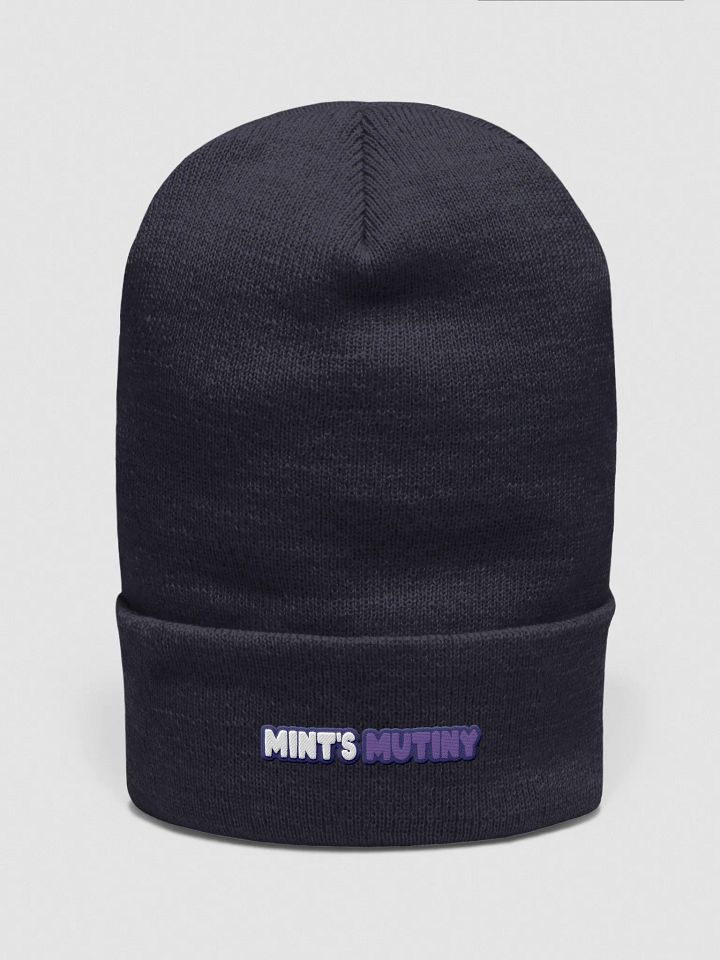 Mint's Mutiny Beanie product image (1)
