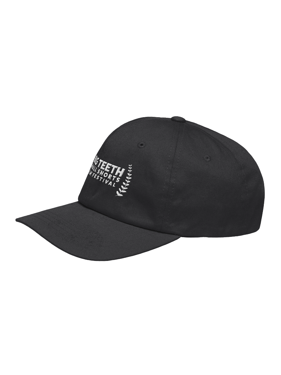 BTSSFF Embroidered "Dad Hat" product image (10)