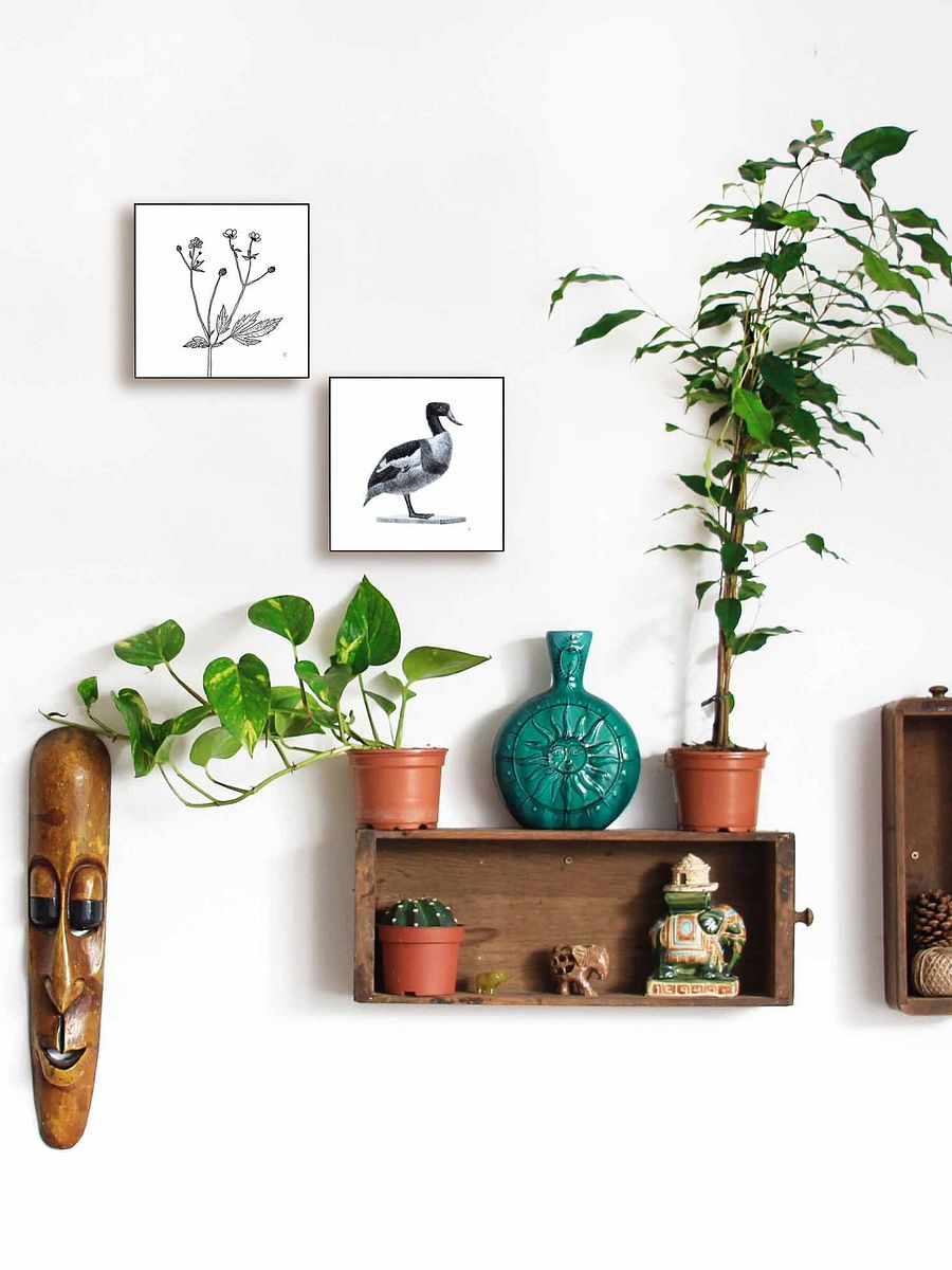 Blank Canvas: Unleash Your Artistic Vision - Duck product image (6)