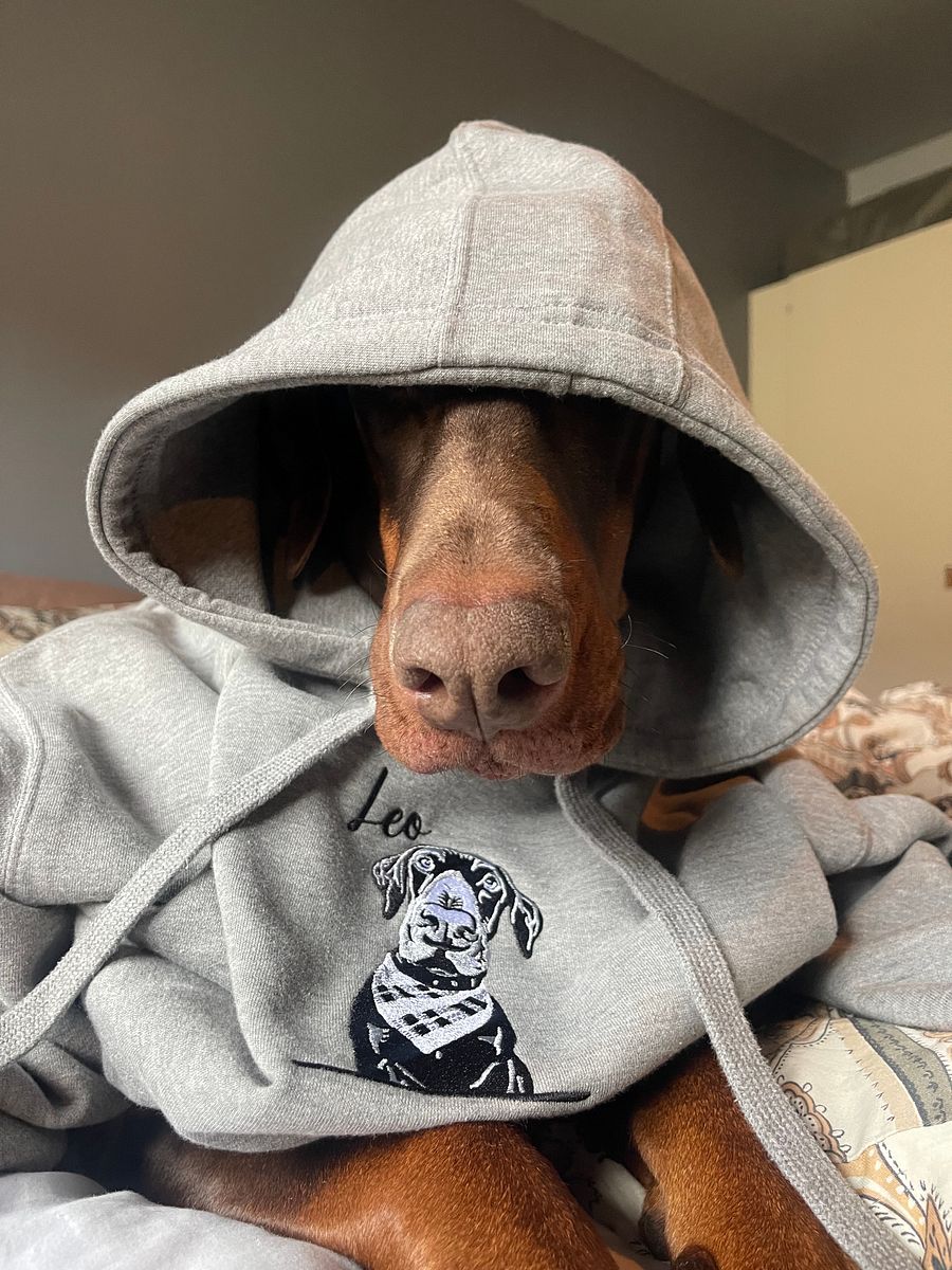DOBERMANNLEO💙 / EMBROIDERED HOODIE product image (3)