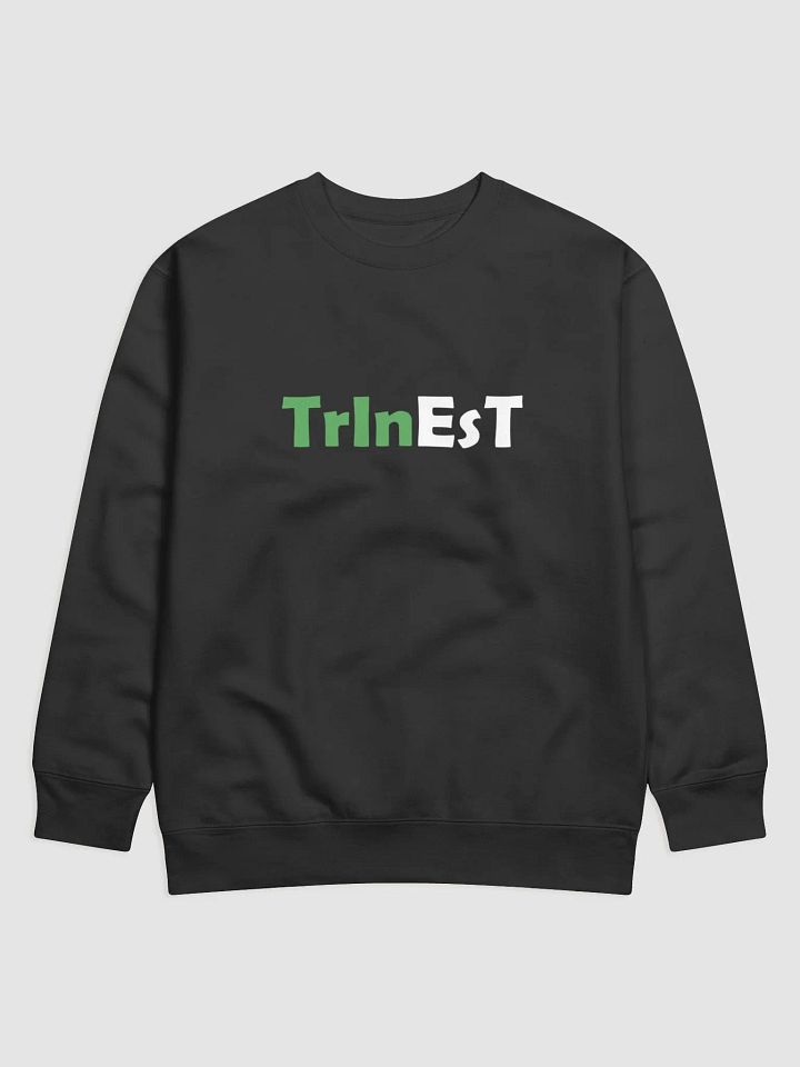 Logo Jumper product image (1)