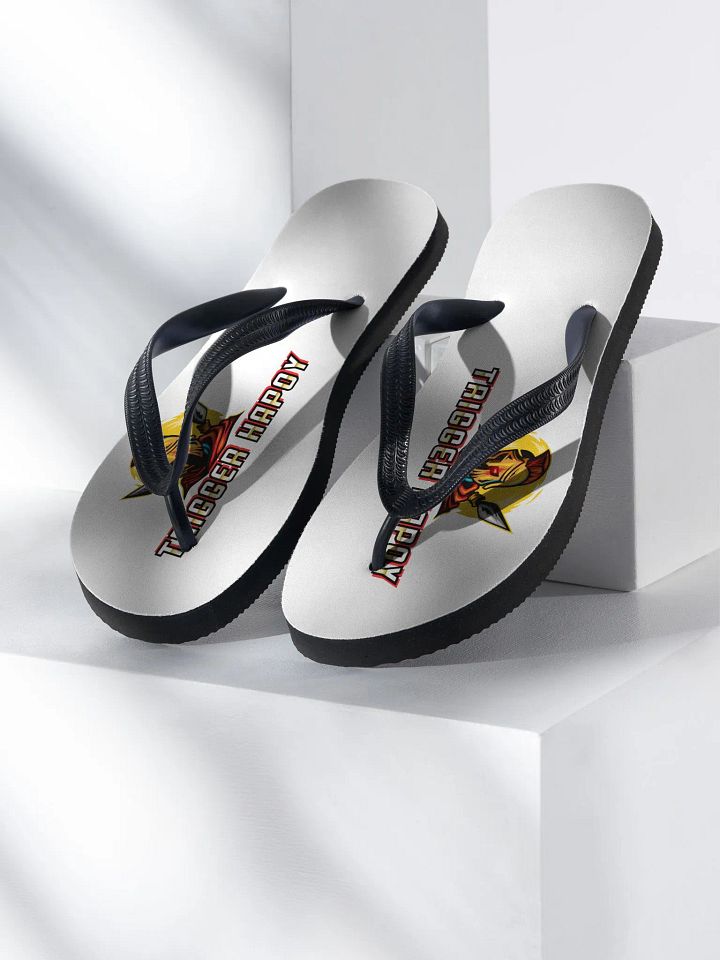 Triggers Flip Flops product image (1)