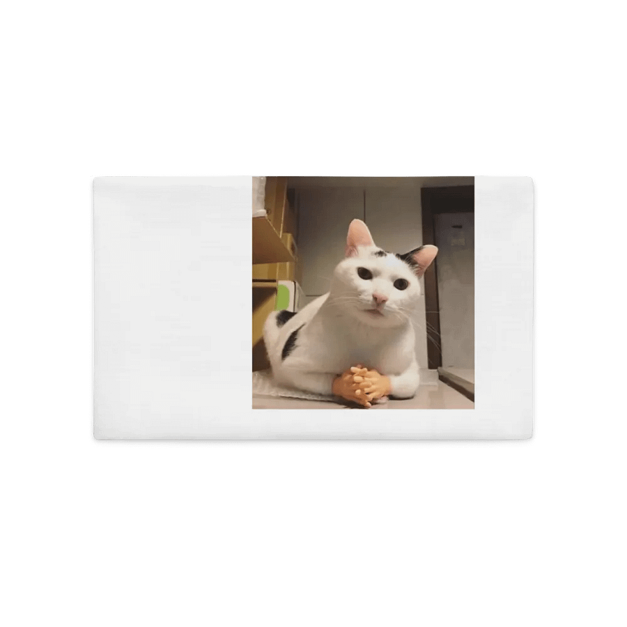 Pawsitively Human Pillow Case product image (2)