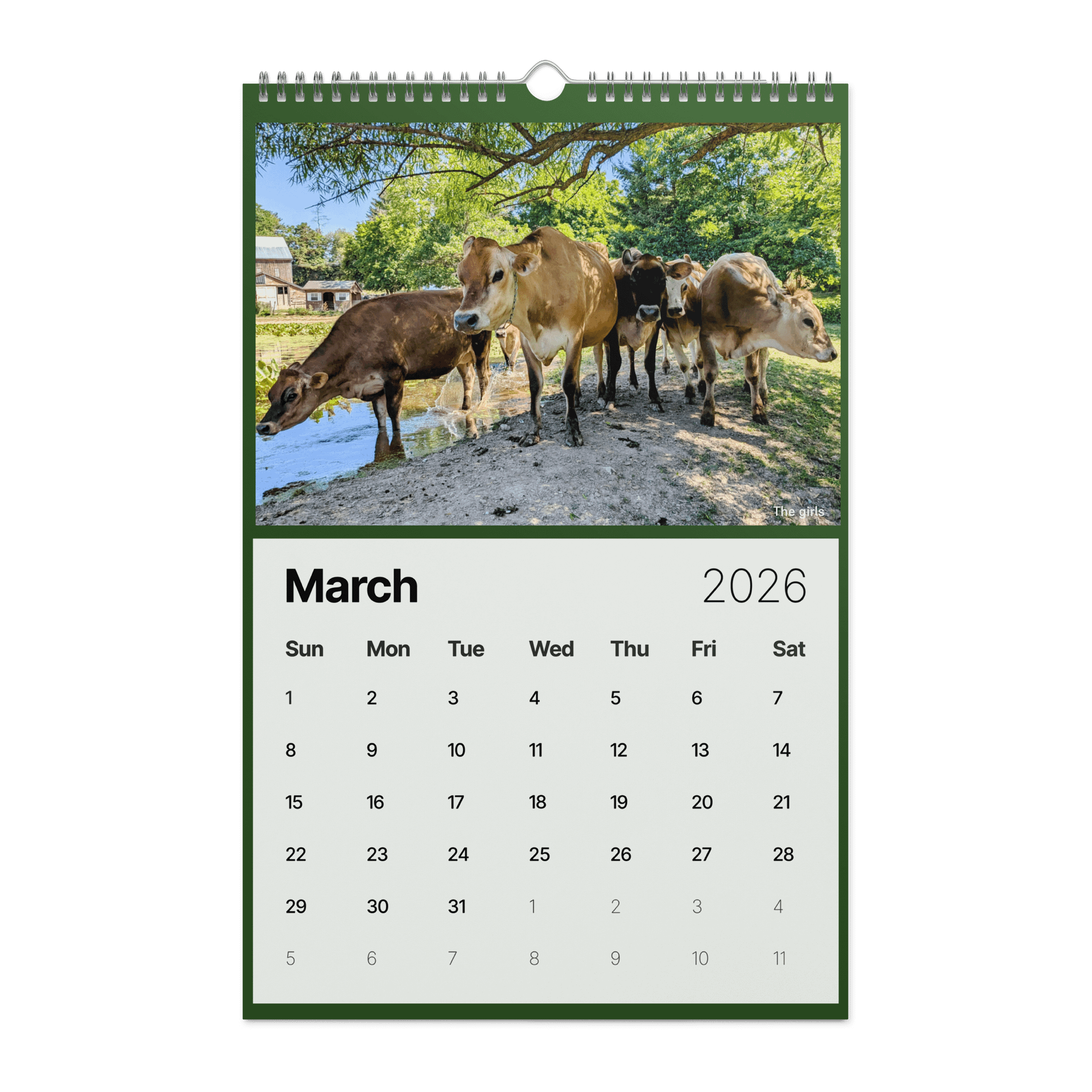 Muddy Toes Farm 2026 Country Life Calendar product image (9)