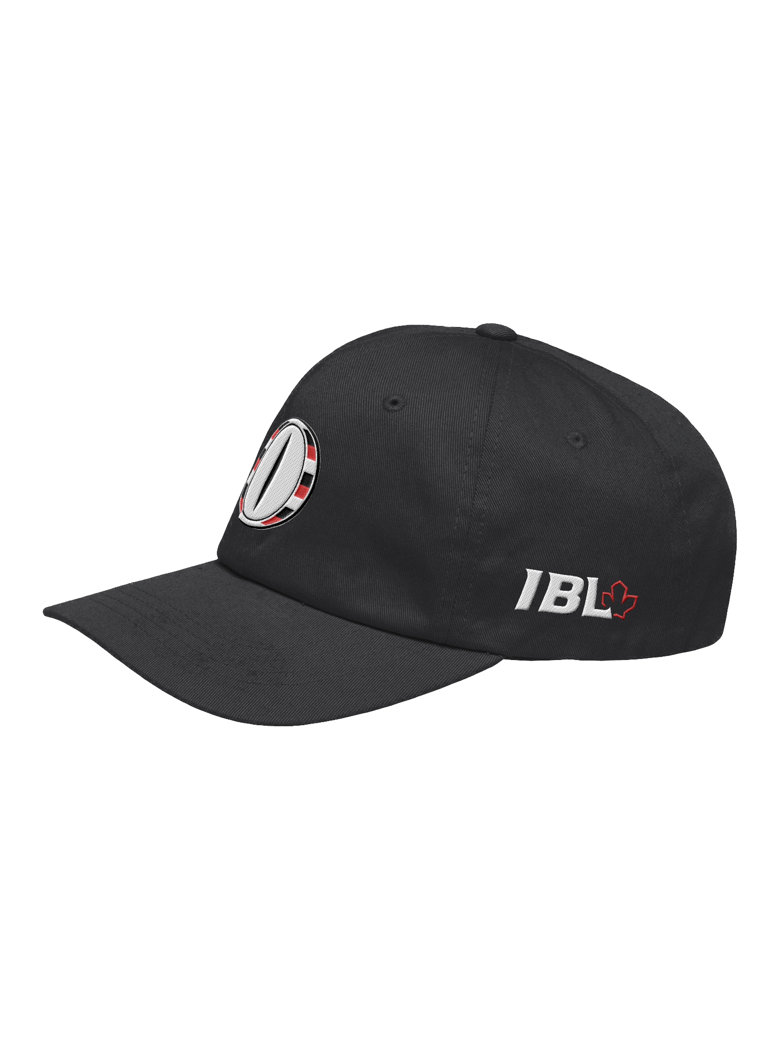 Ottawa Fat Cats - Eclipse Eye Dad Hat product image (7)