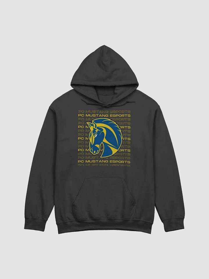 PC Hoodie 3 product image (1)