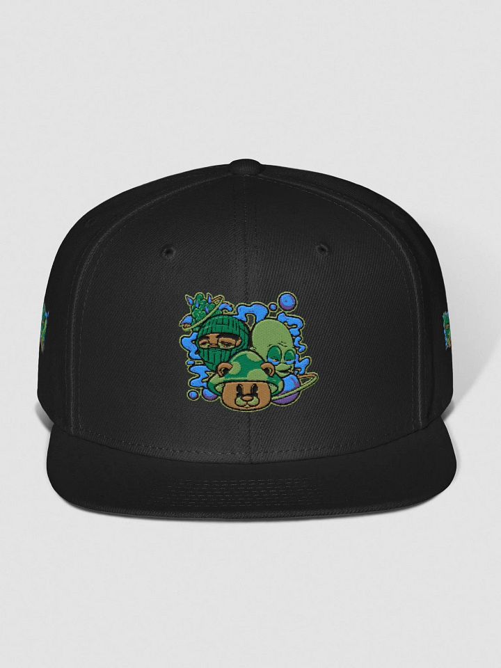 BizzWorld Drip snapback collection product image (2)