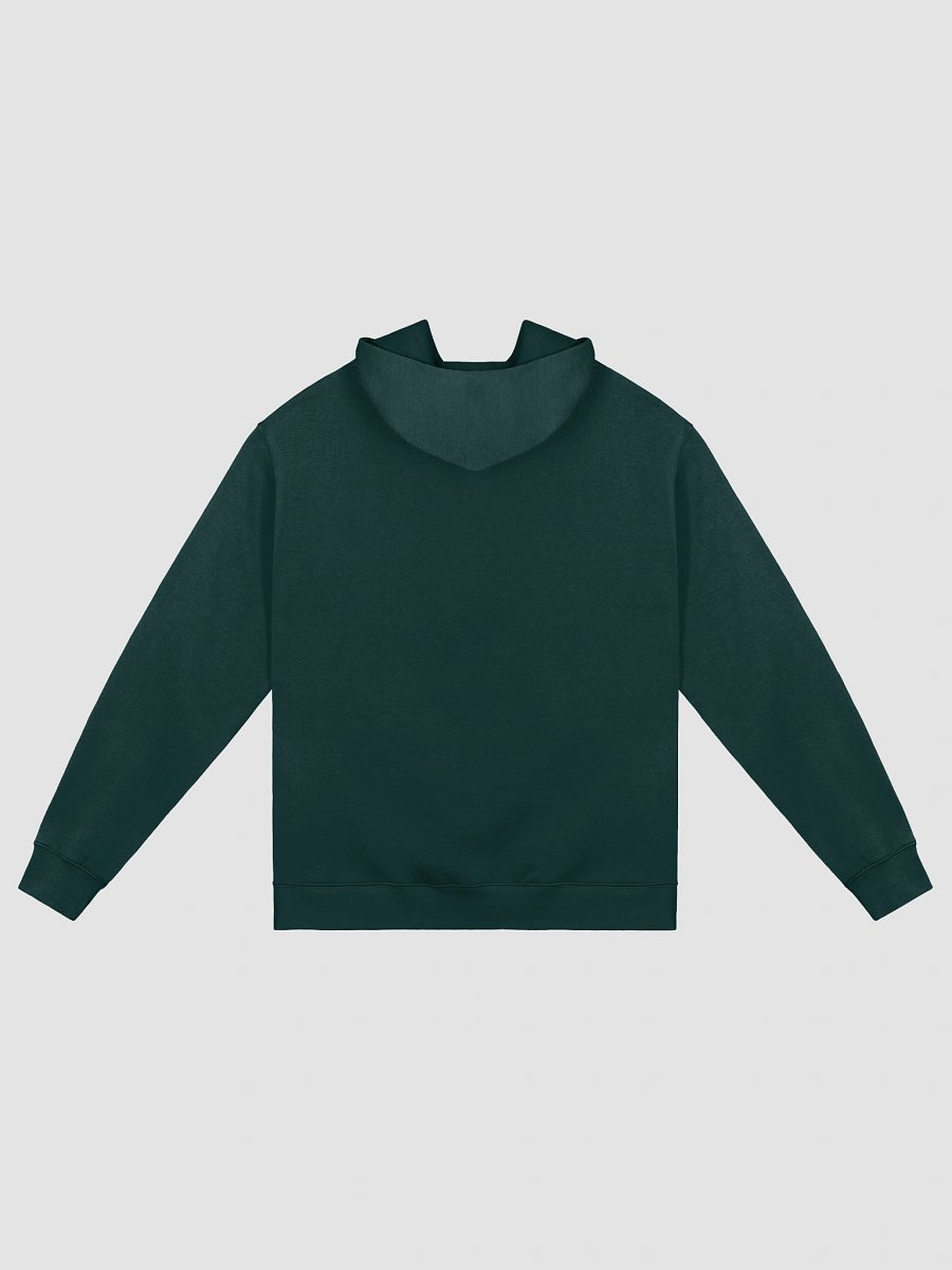 Bee Conservation Oversized Hoodie product image (4)