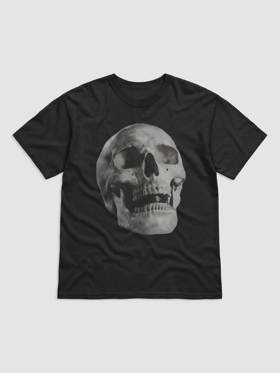PUNK ROCK WHORE product image (2)