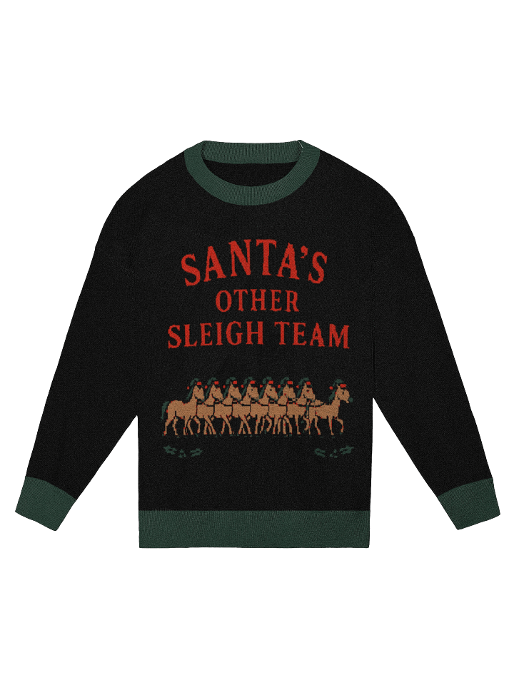 The Other Sleigh Team Sweater product image (1)