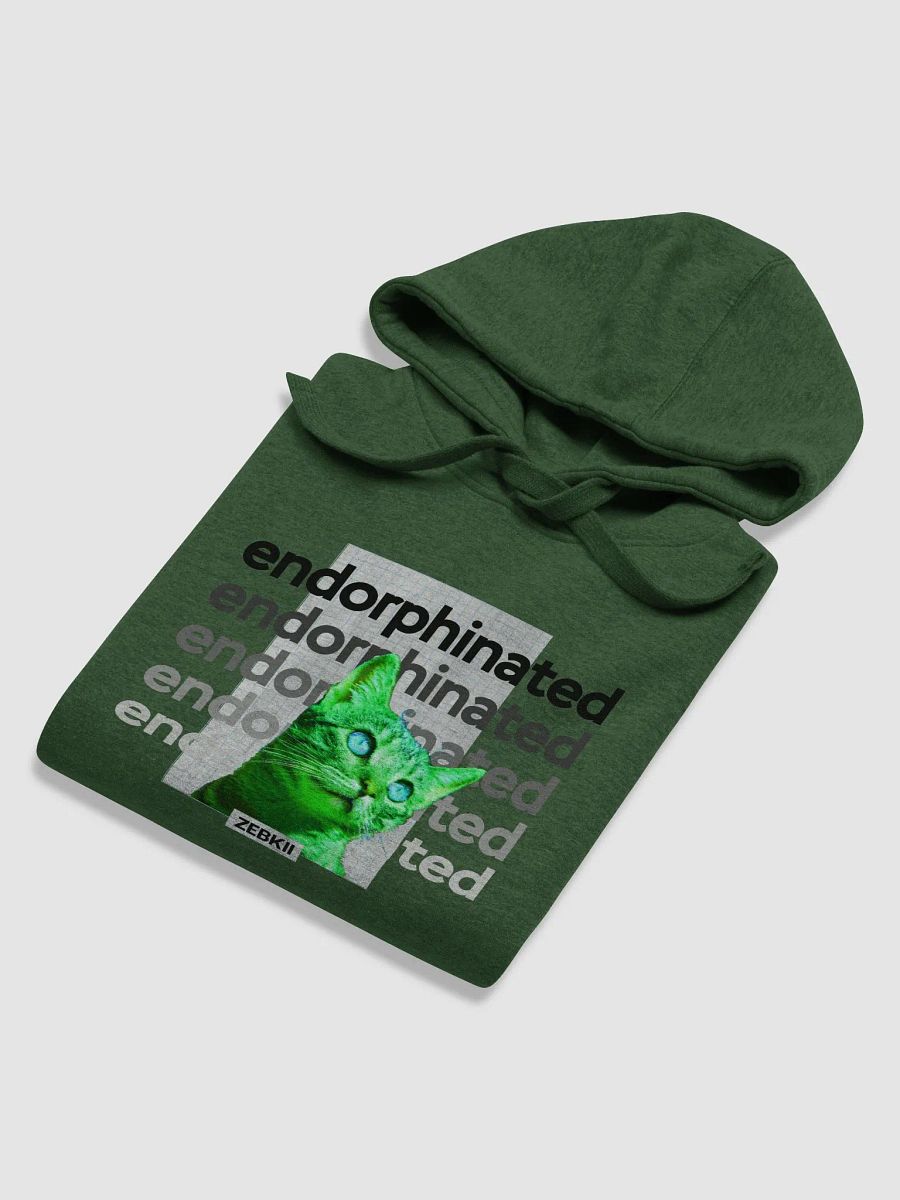 Endorphinated Hoodie product image (11)