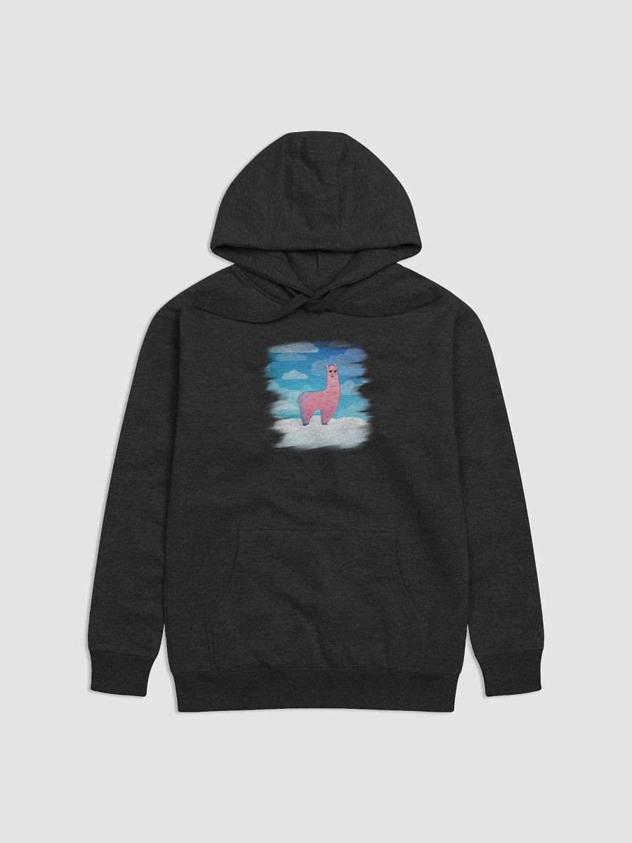 Marble Fest 30 - Hoodie product image (2)