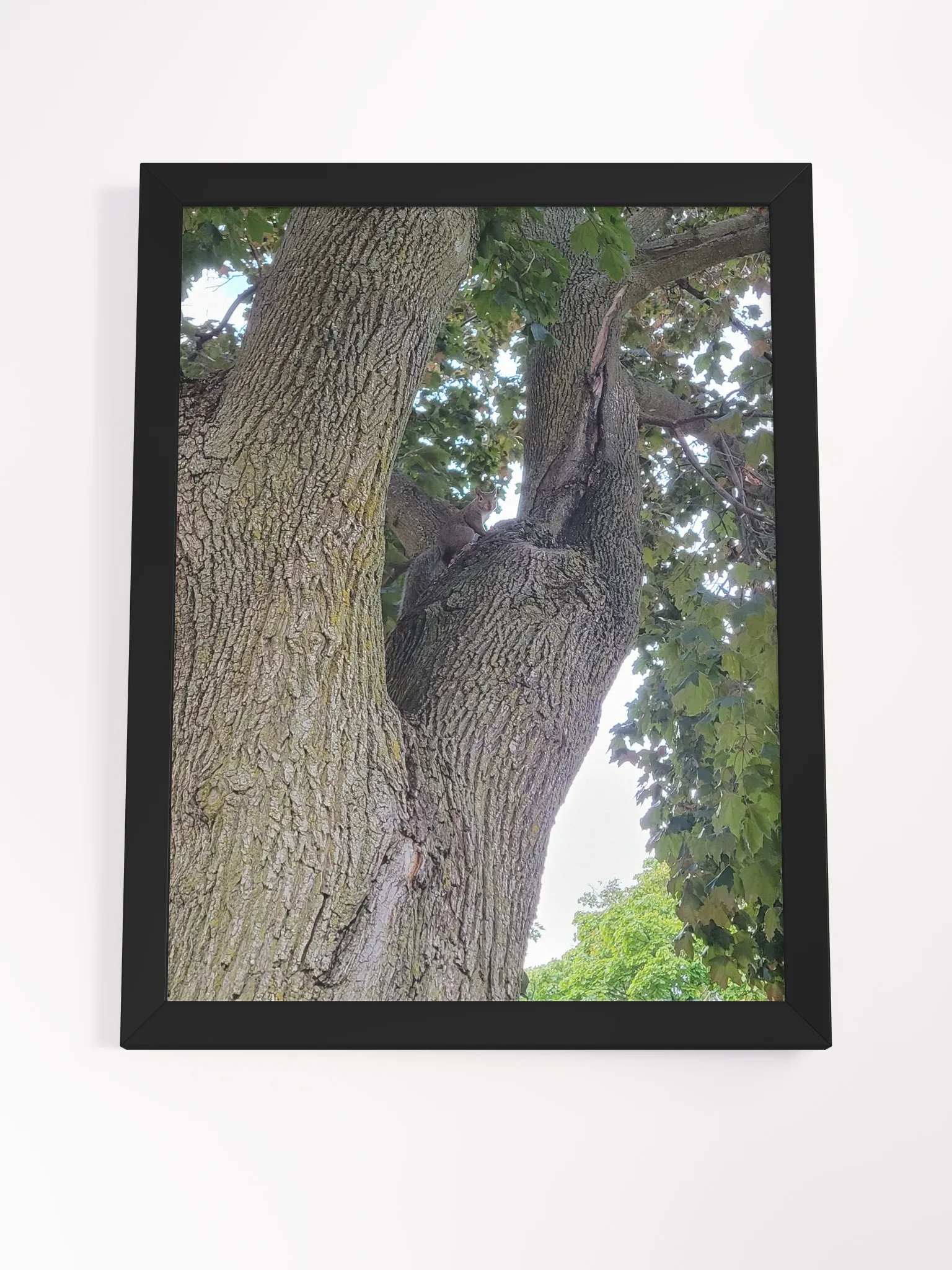 Nature's Embrace Framed Poster product image (7)