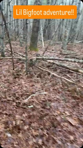 Bigfoot? MAGIC WHIRLY WINDS?? #fyp #viral #bigfoot #insta #instagram #cryptid #yt #instagram #youtube #sasquatch #tiktok #trend