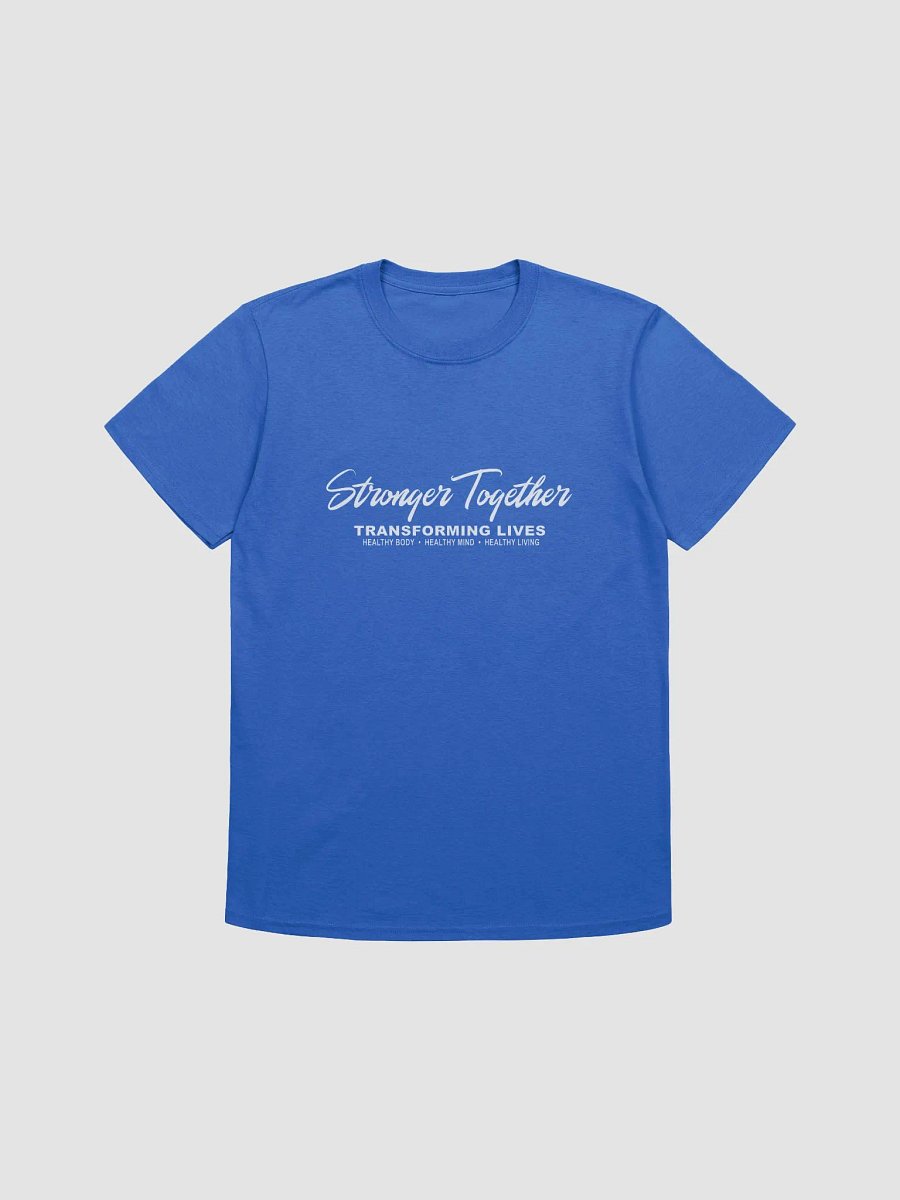 Team T-Shirt - Blue Men's product image (2)