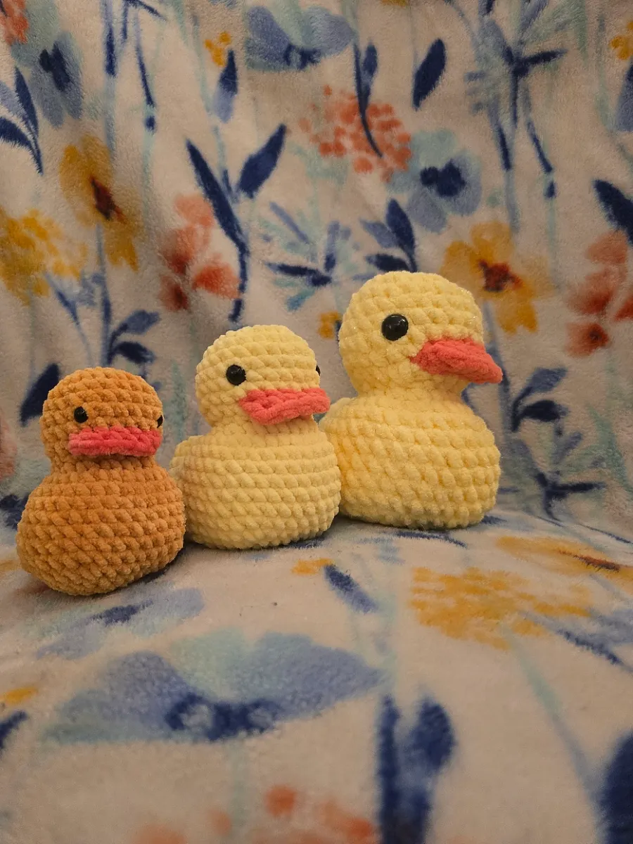 Duck Pal product image (1)