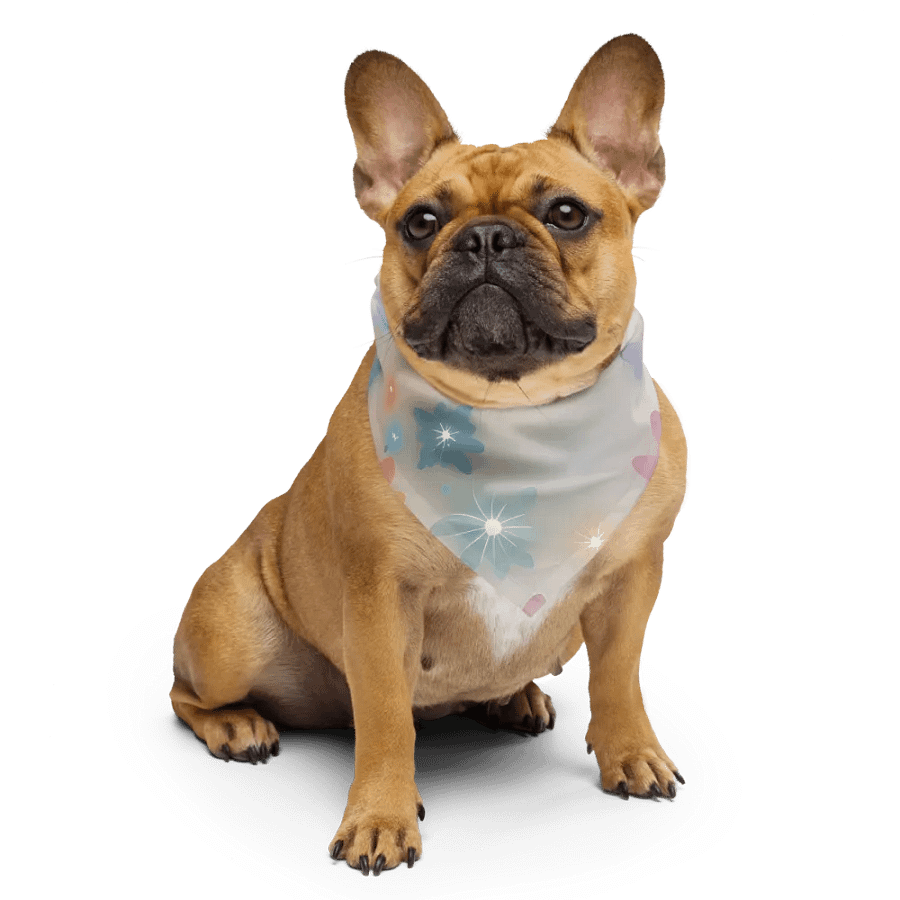 Beachcomber Bandana product image (4)
