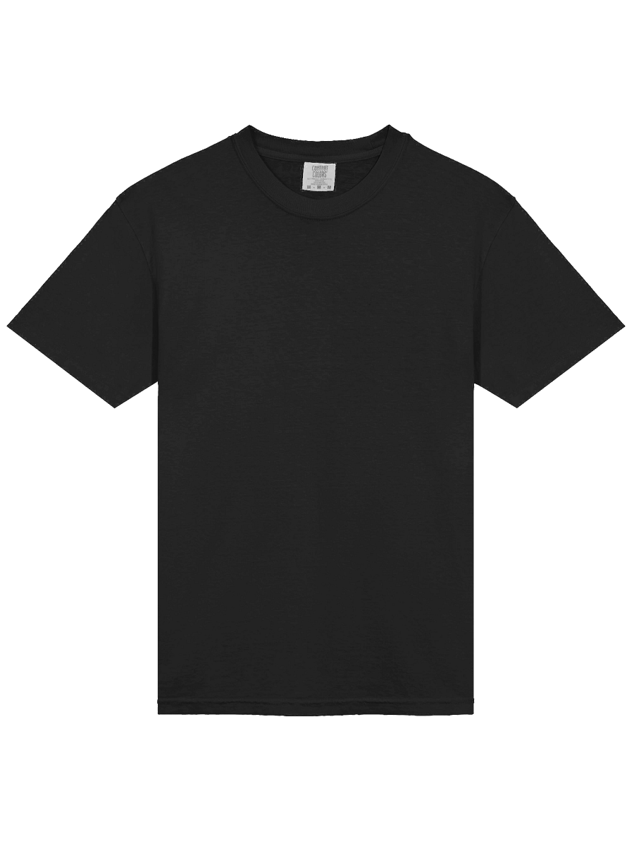 Rise Again Back Logo Tee product image (8)