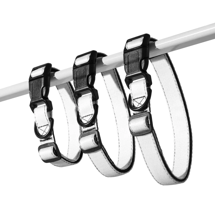 White Zenith Blank Canvas Pet Collar product image (1)
