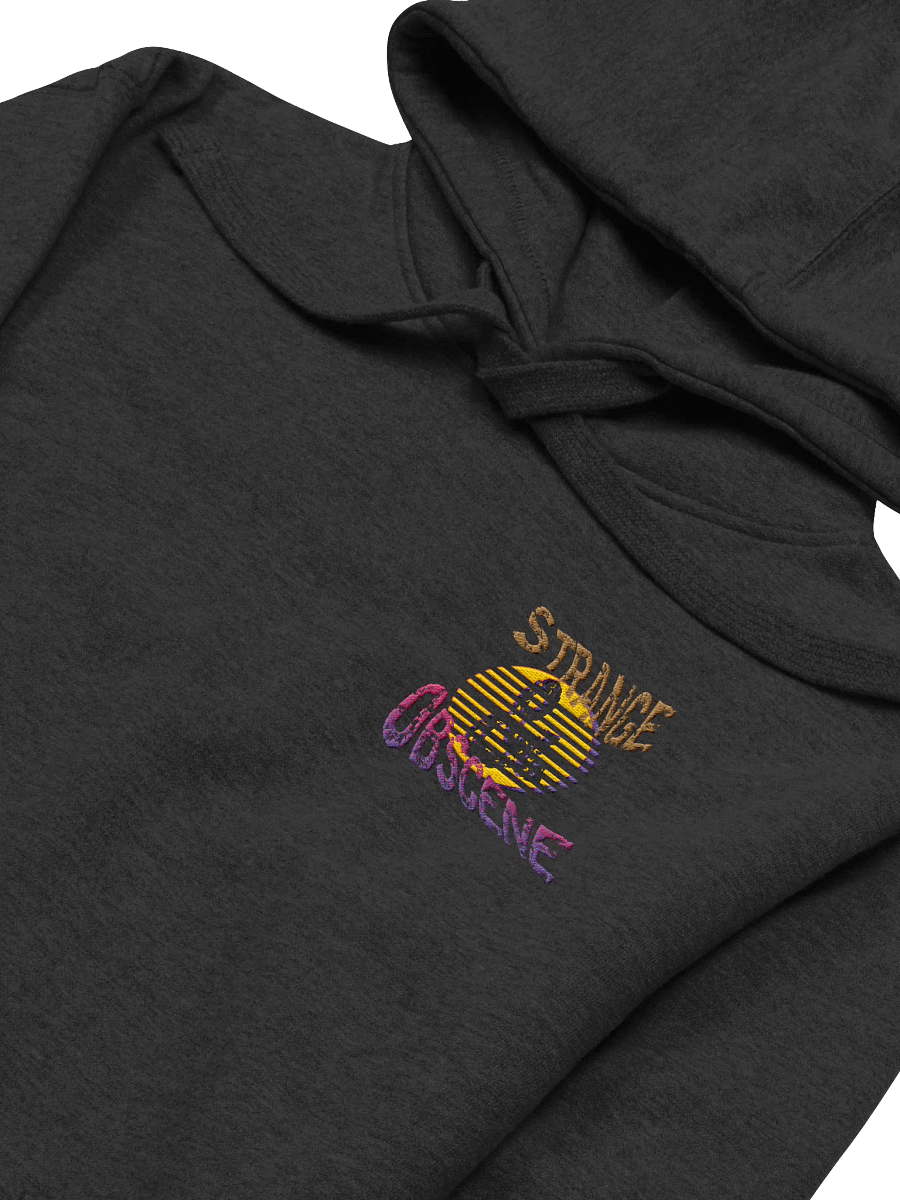 Embroidered Strange & Obscene Minimalist Hoodie product image (6)