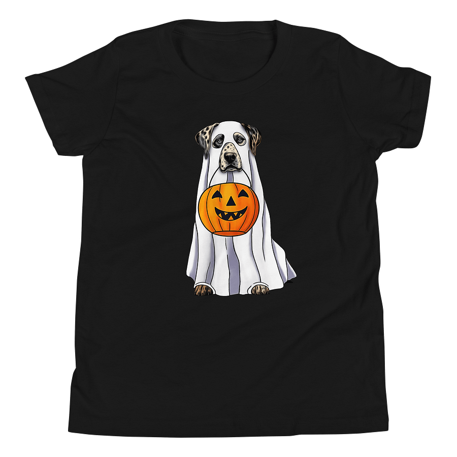 Halloween Catahoula Leopard Dog Youth T-Shirt product image (5)