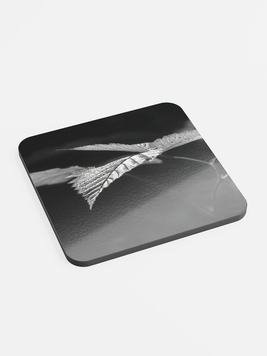 Lower Dungeness Trail Timber sun lighting Cork Coaster product image (2)