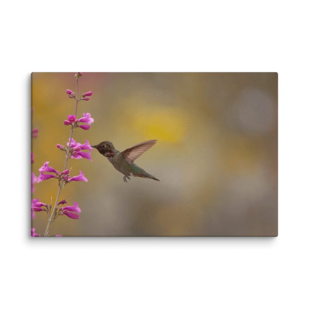 'A brief pause.' product image (1)